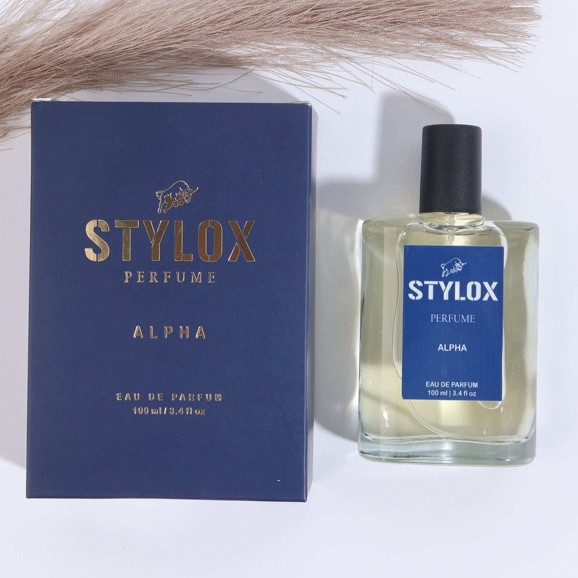 Stylox Alpha EAU DE Long Lasting Perfume For Men