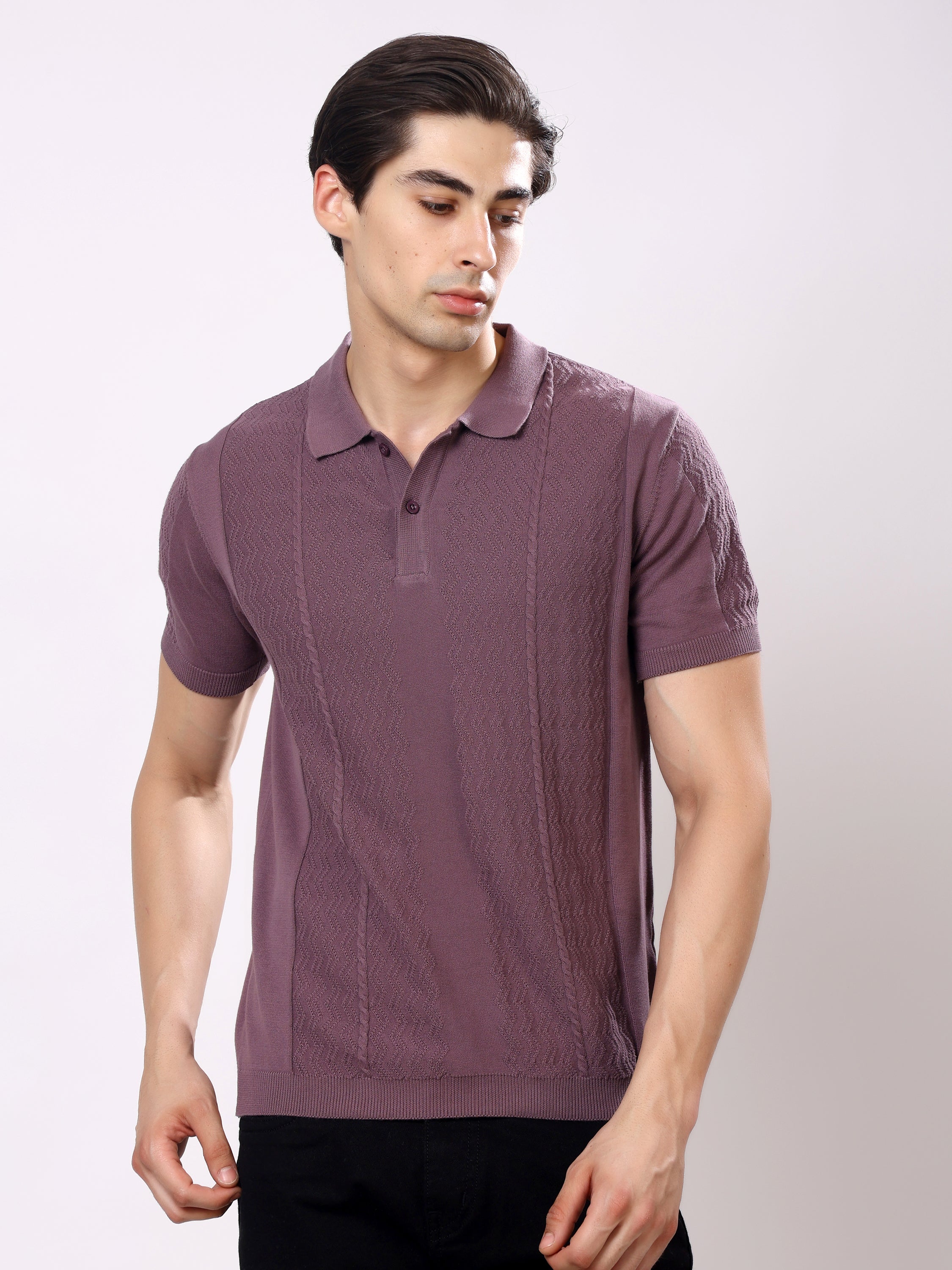 Stylox Men's Regular Fit Half Sleeve Textured Knitted Polo T-Shirt
