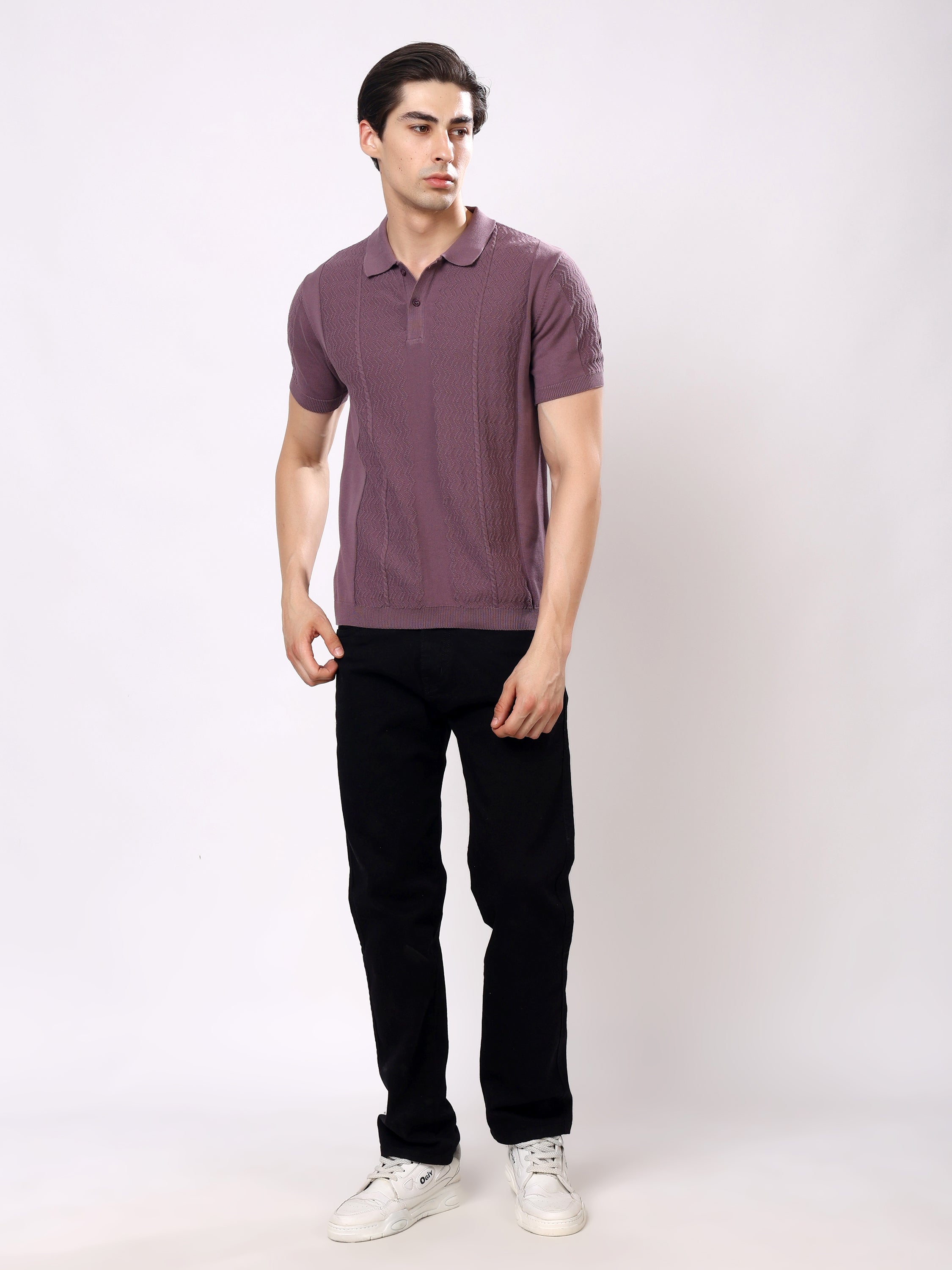 Stylox Men's Regular Fit Half Sleeve Textured Knitted Polo T-Shirt