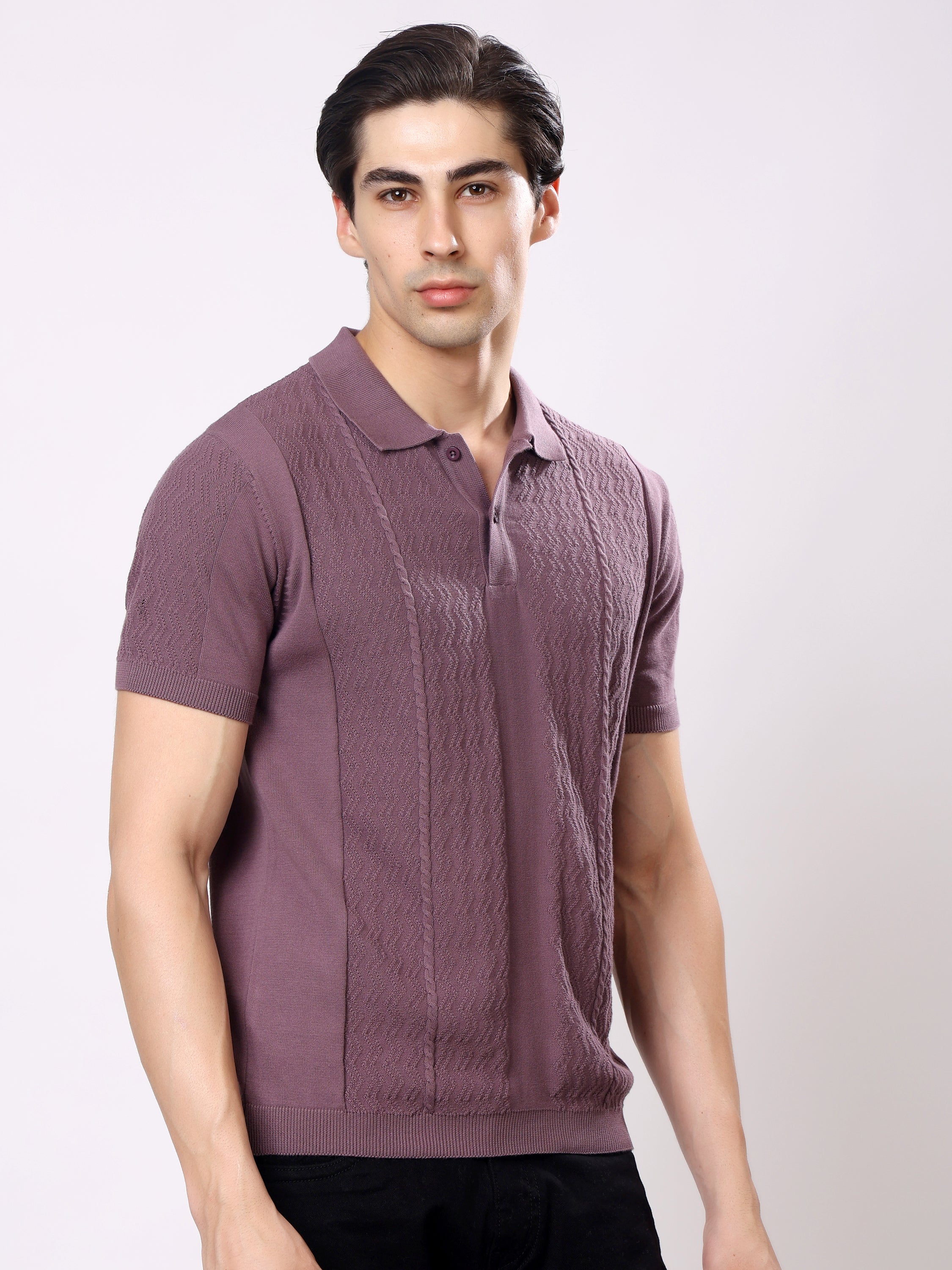 Stylox Men's Regular Fit Half Sleeve Textured Knitted Polo T-Shirt