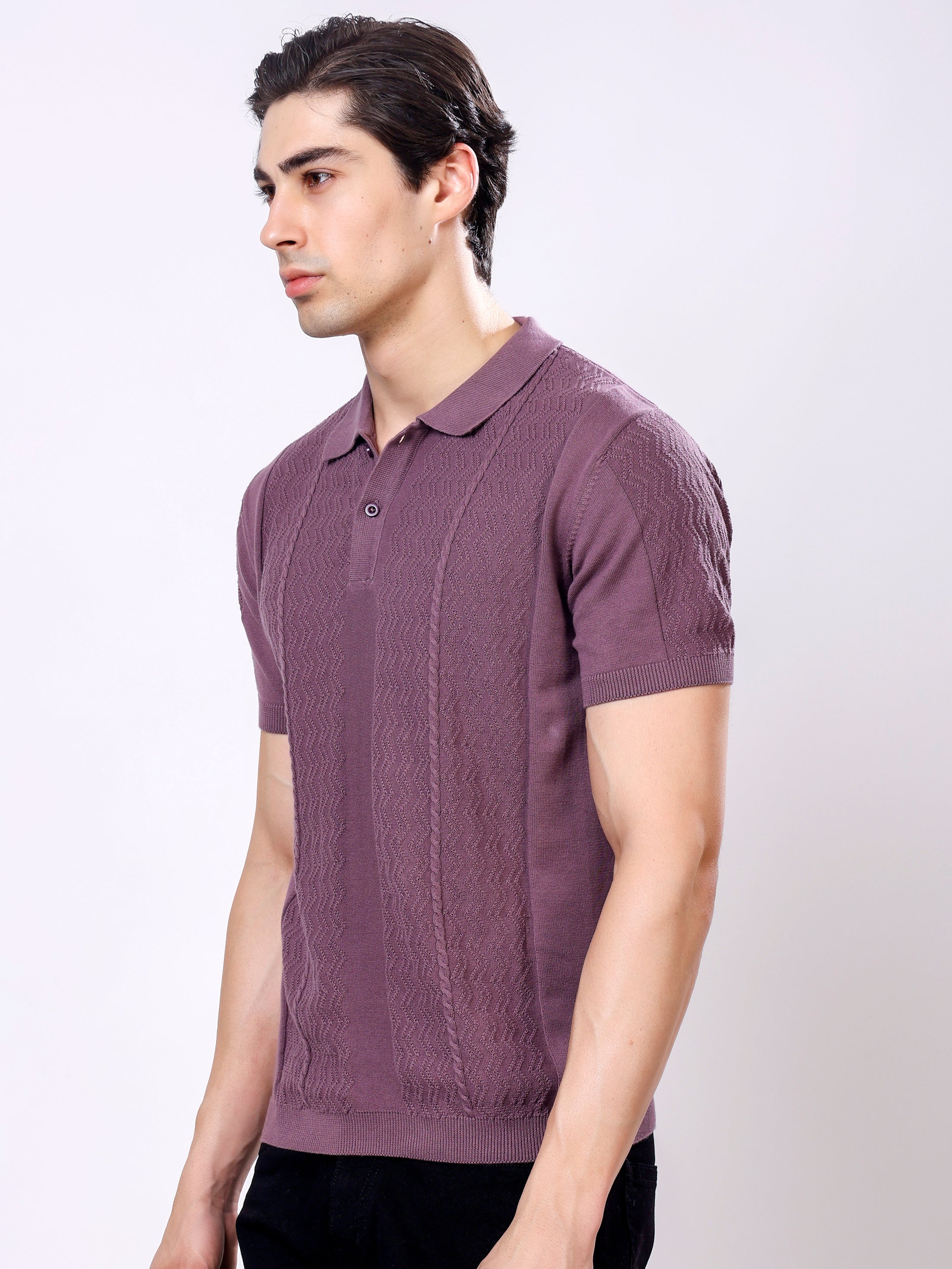 Stylox Men's Regular Fit Half Sleeve Textured Knitted Polo T-Shirt