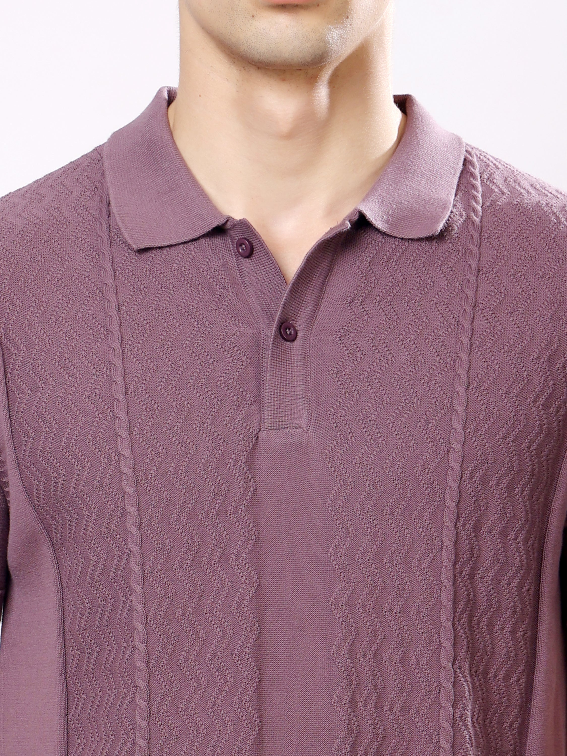 Stylox Men's Regular Fit Half Sleeve Textured Knitted Polo T-Shirt