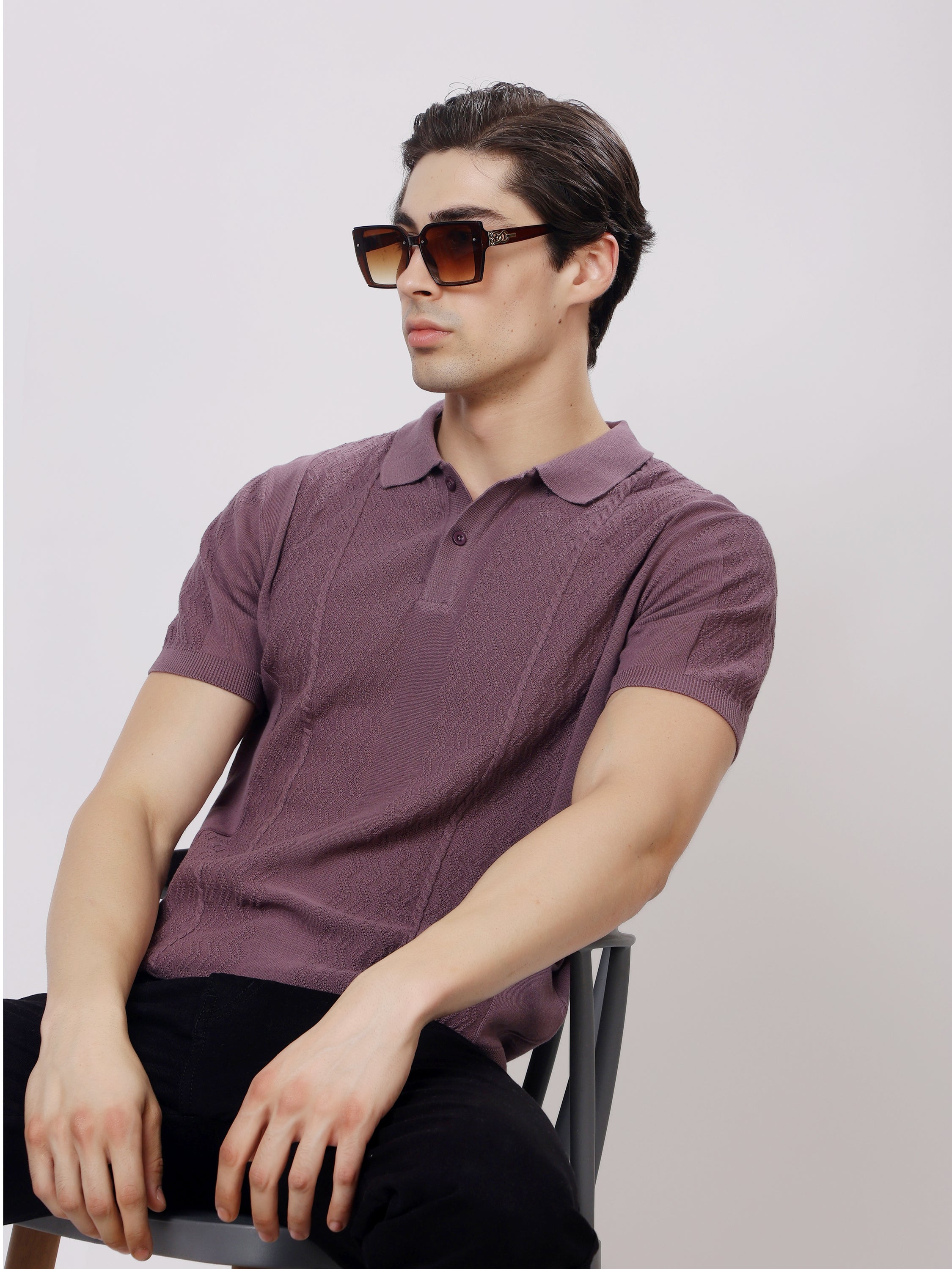 Stylox Men's Regular Fit Half Sleeve Textured Knitted Polo T-Shirt